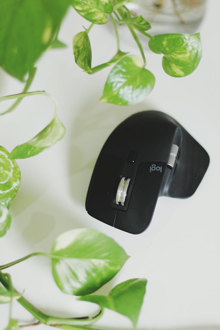 Close-up of a wireless mouse surrounded by green leaves on a white surface.